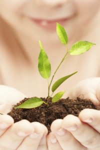 limpeza natural e ecológica